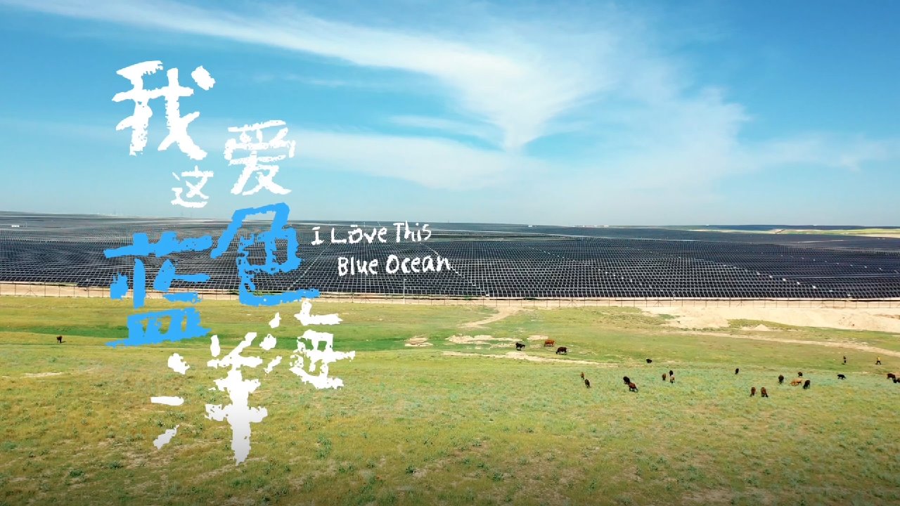 龙8-long8(国际)唯一官方网站